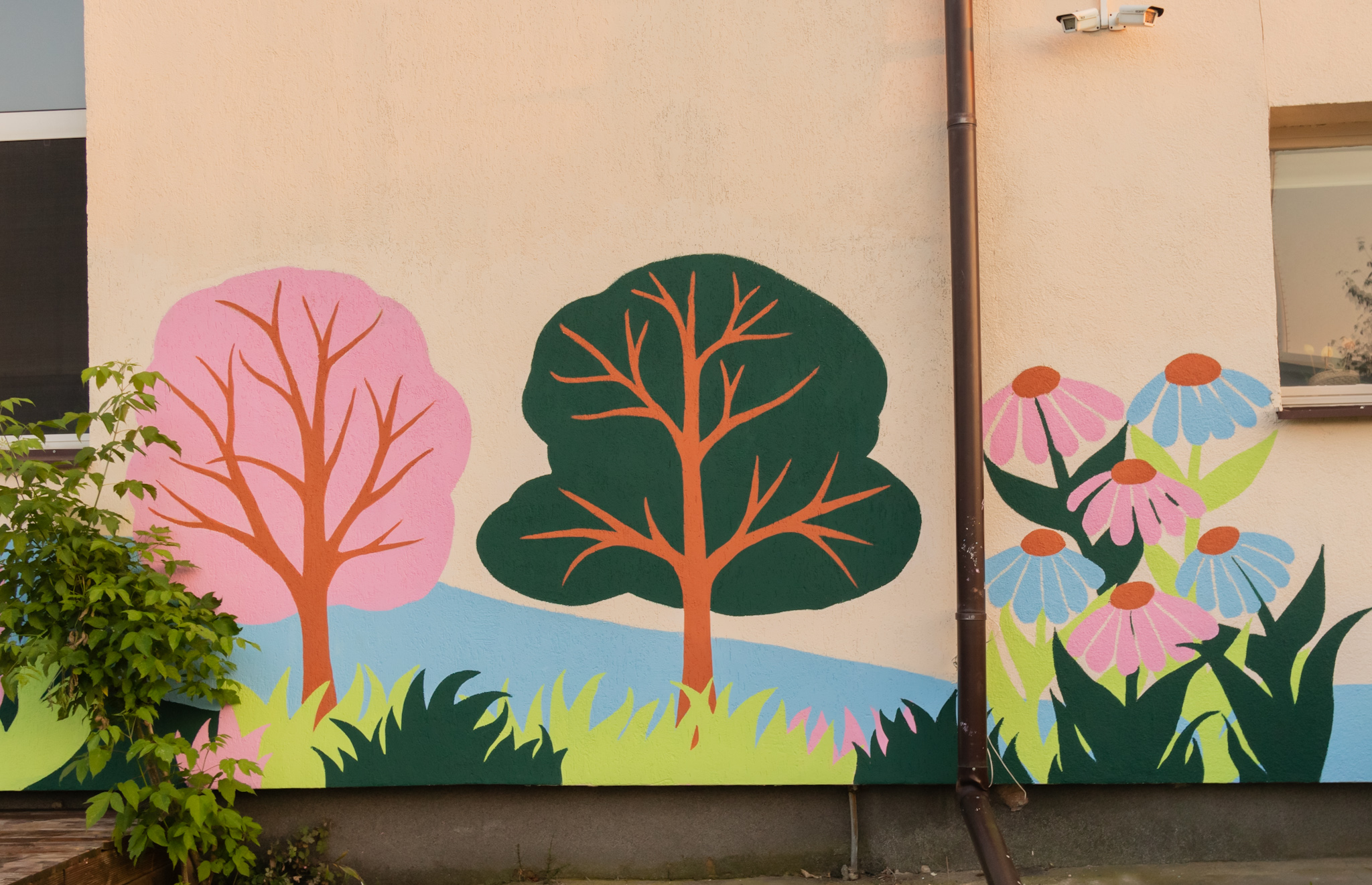 Field - Image 5