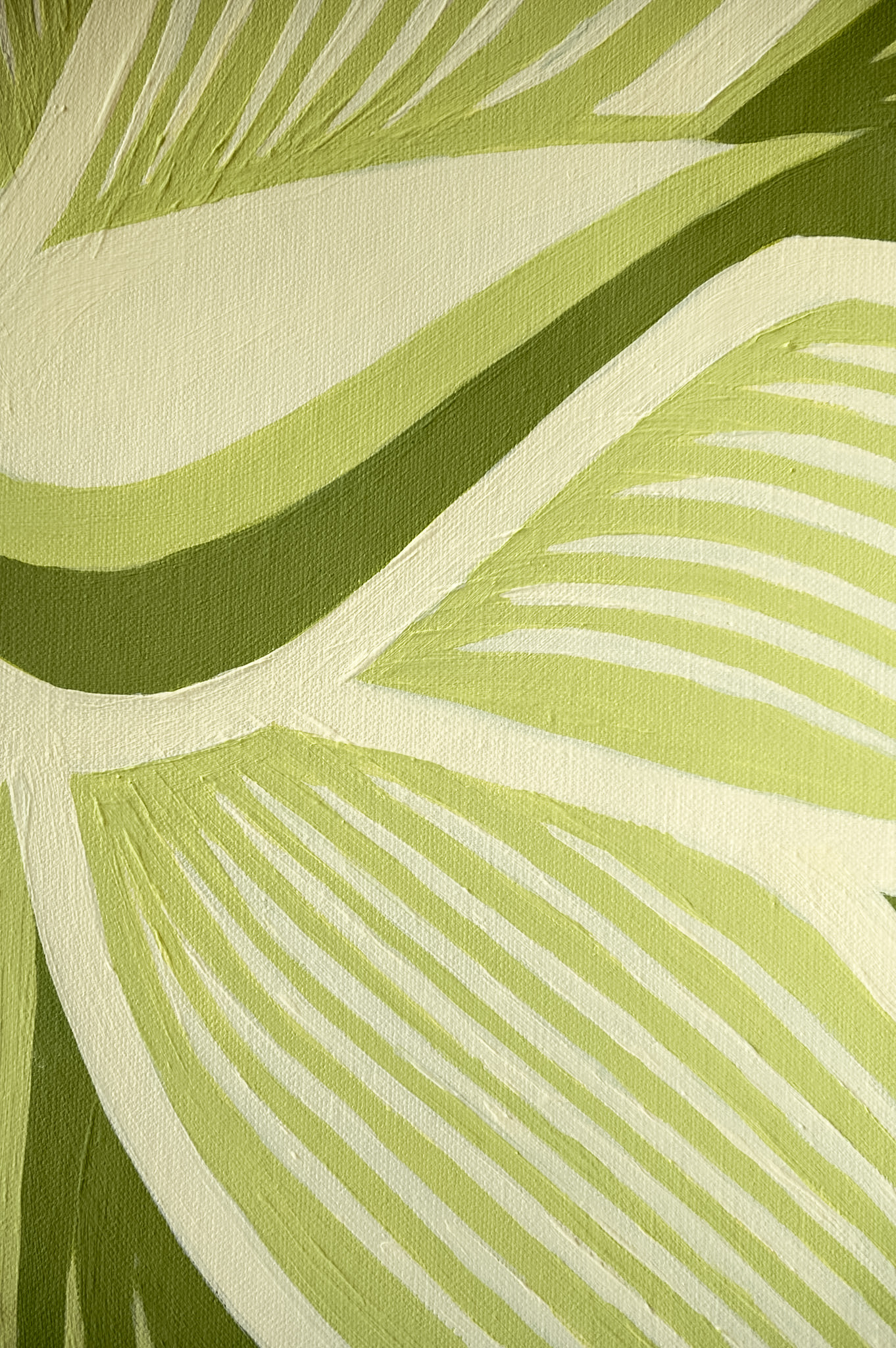 Foxtail Agave — 2