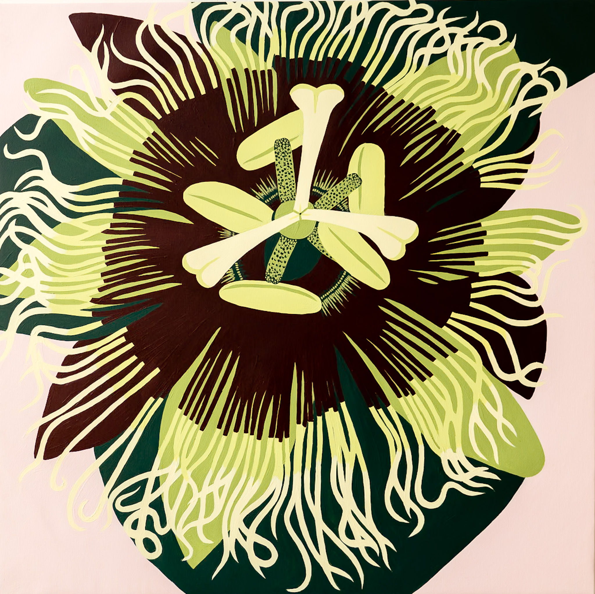 Passion Flower